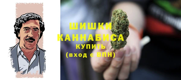ГАЛЛЮЦИНОГЕННЫЕ ГРИБЫ Нефтегорск