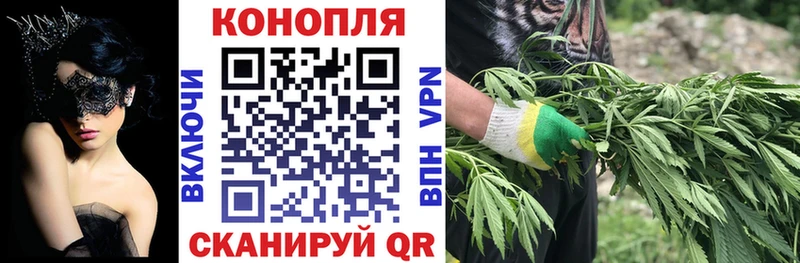 купить наркотики сайты  Западная Двина  Бошки Шишки планчик 